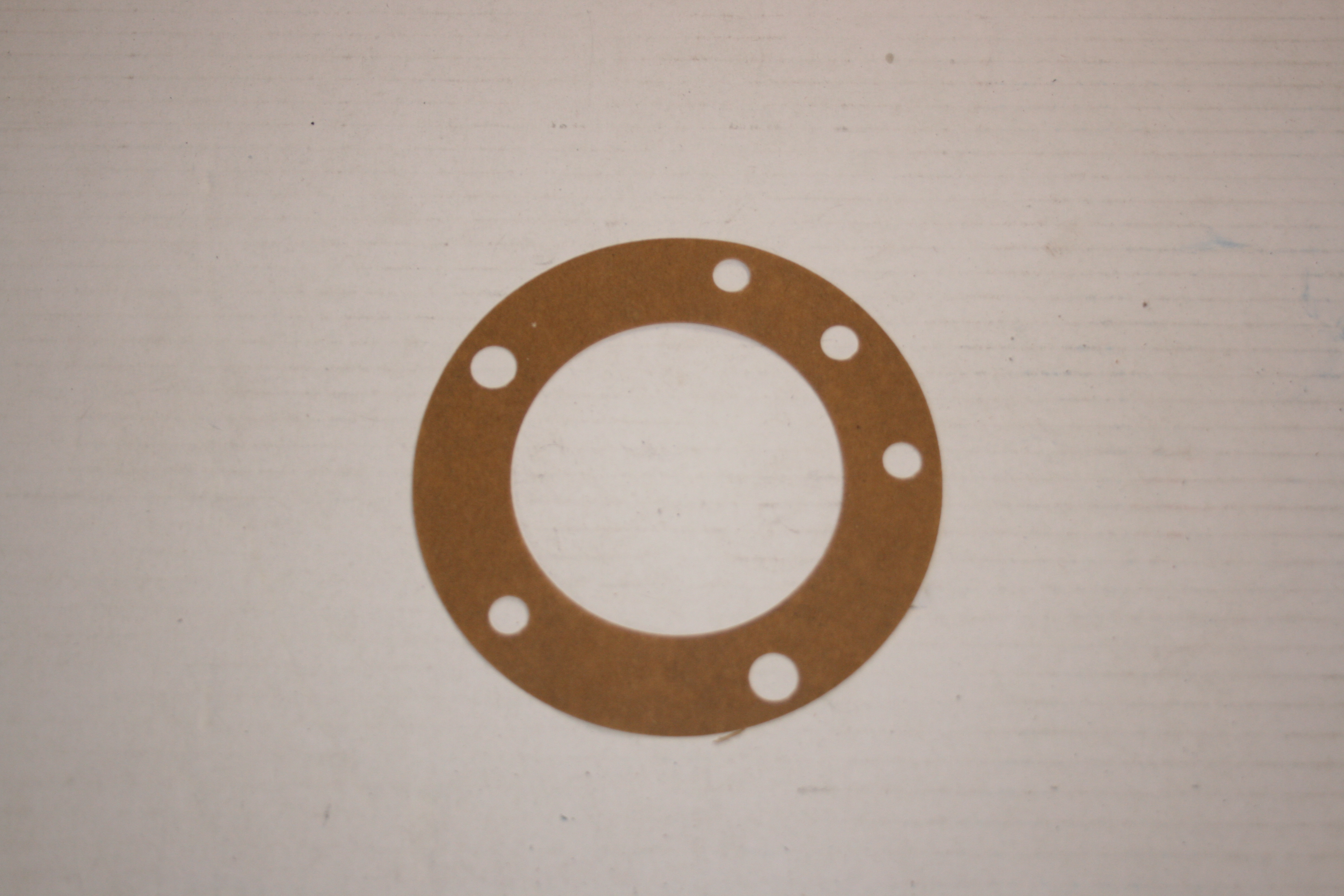 Rear Hub Backplate Gasket