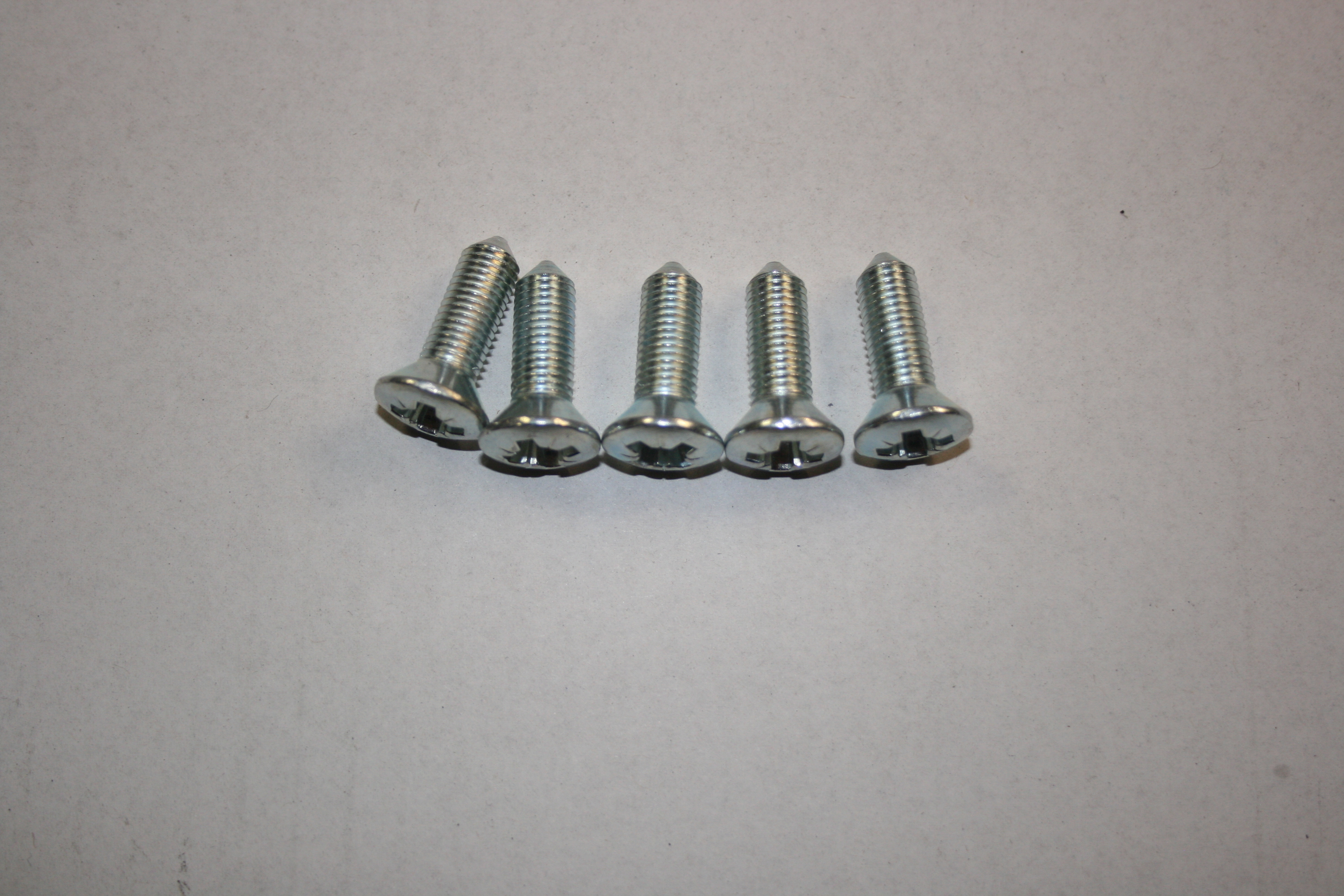 Door Hinge Screws - Each